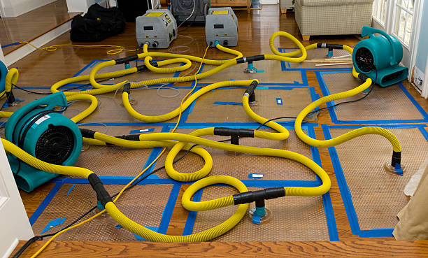 Professional Structural Drying And Dehumidification technician working in Bluffton, IN